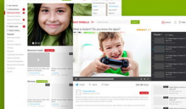 网页视频,一窥全貌