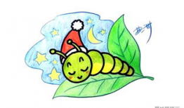 毛毛虫视频,从幼虫到蝴蝶的奇幻之旅